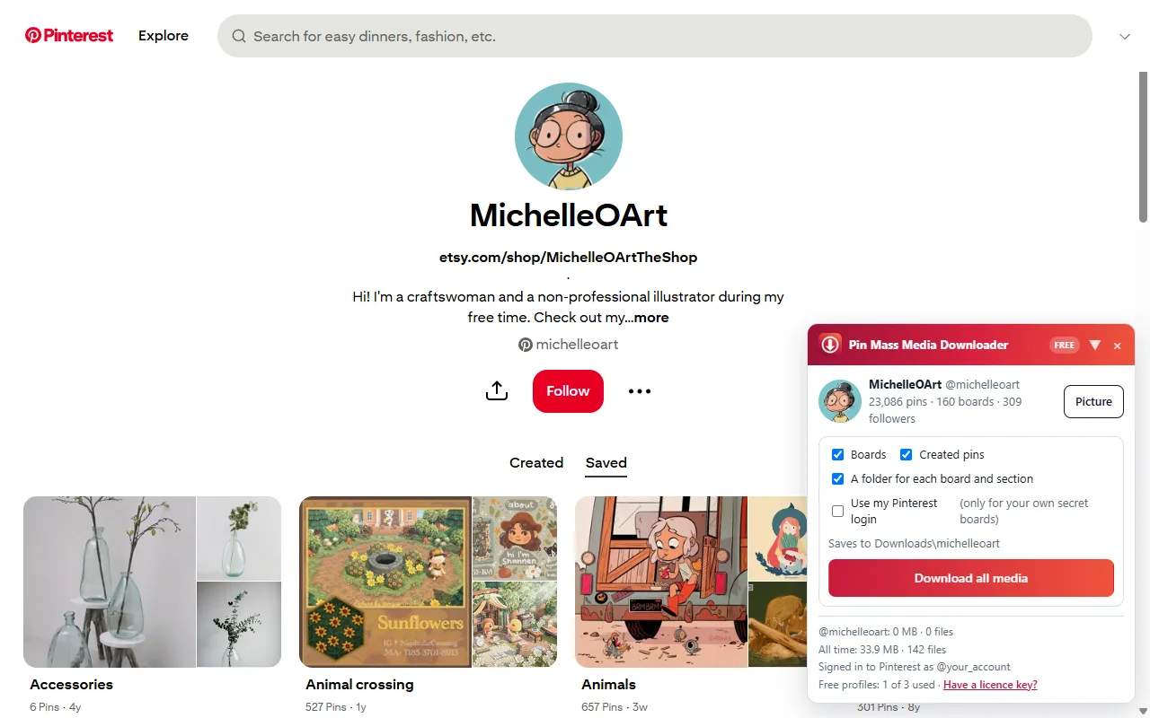 The Pin Mass Media Downloader panel on a Pinterest profile, with Boards and Created pins options